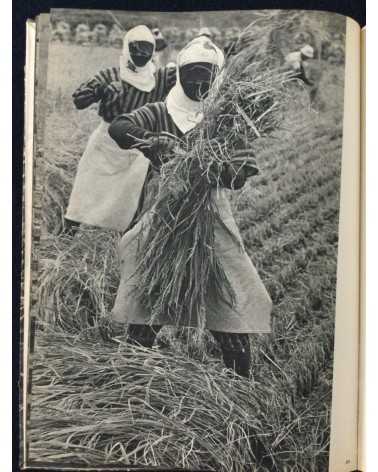 An Overview of Modern Japanese Photography (Gendai Nihon