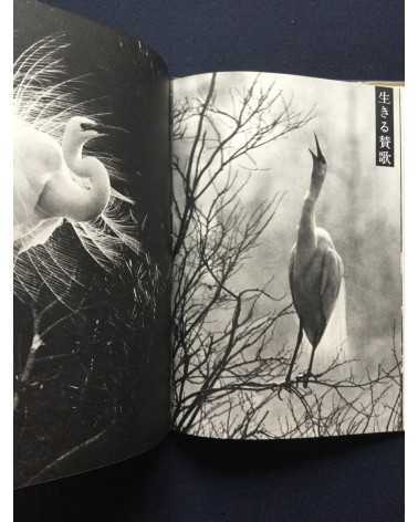 Tokutaro Tanaka - White Egret - 1961