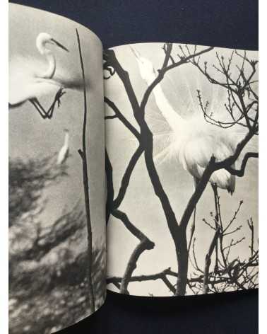 Tokutaro Tanaka - White Egret - 1961