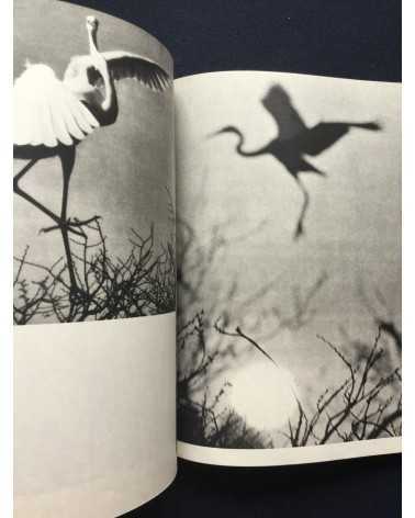 Tokutaro Tanaka - White Egret - 1961