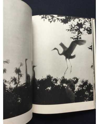 Tokutaro Tanaka - White Egret - 1961