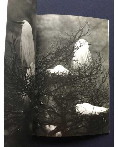 Tokutaro Tanaka - Photo Salon, The Snowy Egret Poetry In Flight - 1989