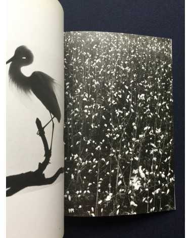 Tokutaro Tanaka - Photo Salon, The Snowy Egret Poetry In Flight - 1989