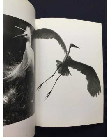 Tokutaro Tanaka - Photo Salon, The Snowy Egret Poetry In Flight - 1989