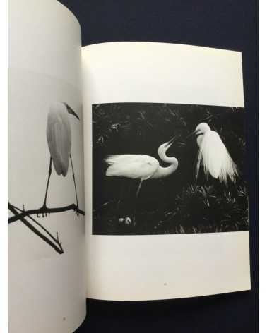 Tokutaro Tanaka - Photo Salon, The Snowy Egret Poetry In Flight - 1989