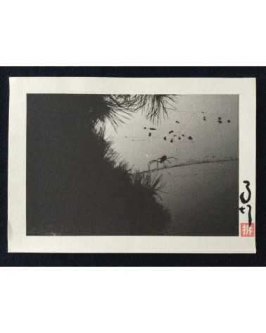 Ma Te - Set of 24 prints