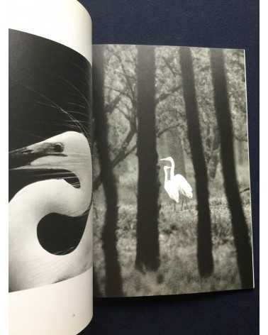 Tokutaro Tanaka - Photo Salon, The Snowy Egret Poetry In Flight - 1989