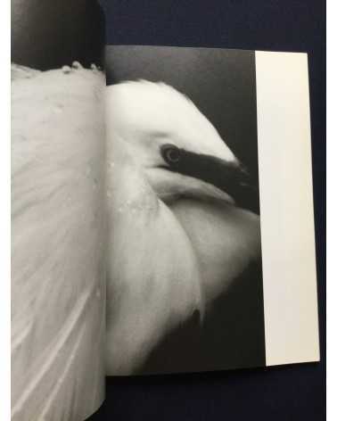 Tokutaro Tanaka - Photo Salon, The Snowy Egret Poetry In Flight - 1989