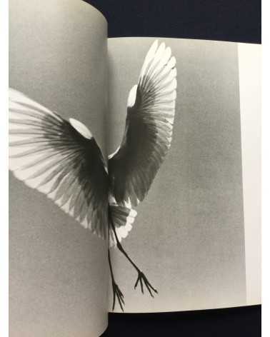 Tokutaro Tanaka - Photo Salon, The Snowy Egret Poetry In Flight - 1989