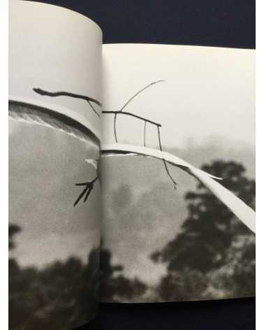 Tokutaro Tanaka - Photo Salon, The Snowy Egret Poetry In Flight - 1989