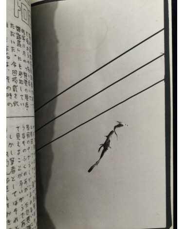Photo Street - Volume 8 - 1979