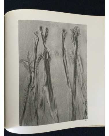 Kazukuni Shimizu - Composition of Sand - 1982