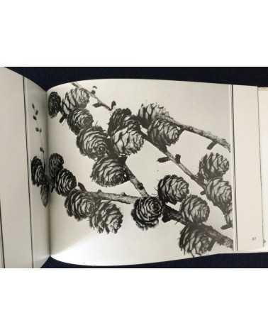 Jiro Kanaumi - Shiroi Oze [Special Edition With 5 Prints] - 1978
