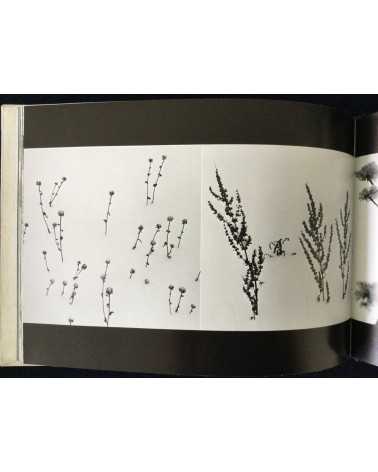 Jiro Kanaumi - Shiroi Oze [Special Edition With 5 Prints] - 1978