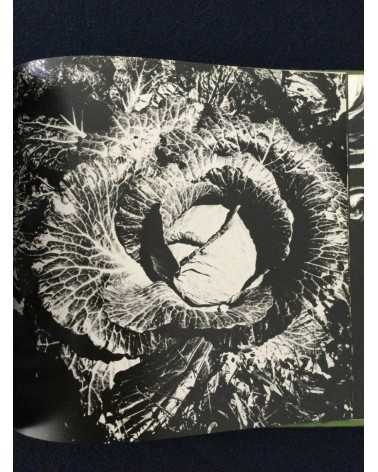 Daido Moriyama - Japan, A Photo Theater II, Sonorama