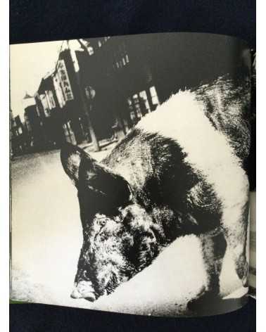 Daido Moriyama - Japan, A Photo Theater II, Sonorama