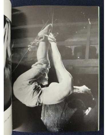 Adult Cinema of Japan - Set of 4 Volumes - 1970-1971