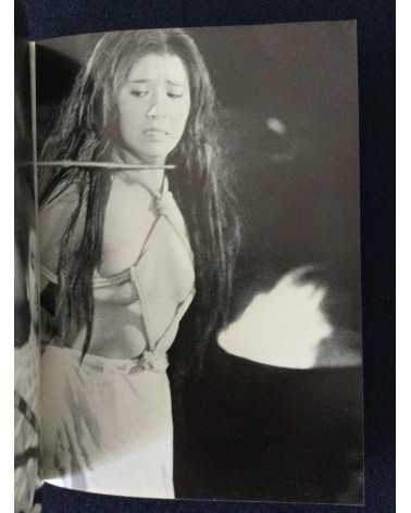 Adult Cinema of Japan - Set of 4 Volumes - 1970-1971