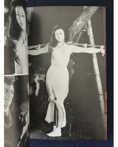 Adult Cinema of Japan - Set of 4 Volumes - 1970-1971