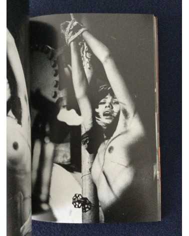 Adult Cinema of Japan - Set of 4 Volumes - 1970-1971