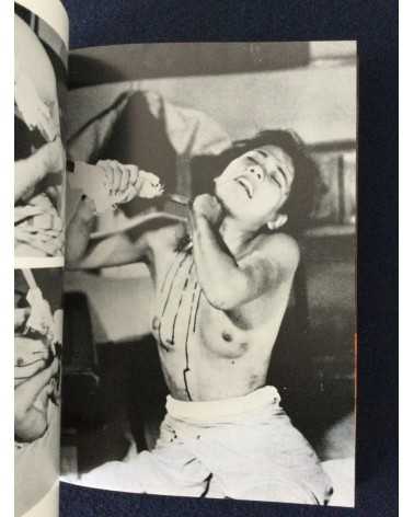 Adult Cinema of Japan - Set of 4 Volumes - 1970-1971