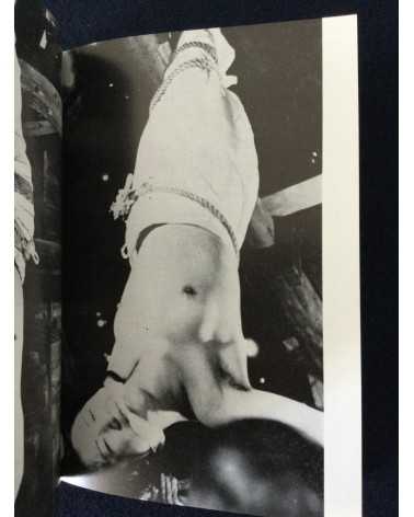 Adult Cinema of Japan - Set of 4 Volumes - 1970-1971