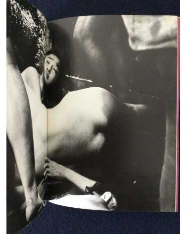 Adult Cinema of Japan - Set of 4 Volumes - 1970-1971