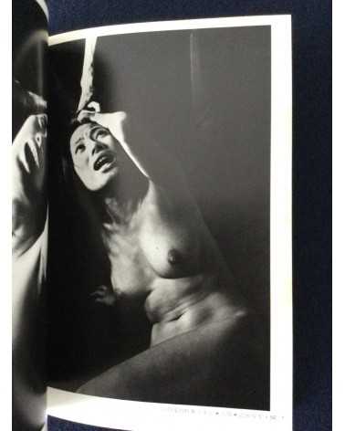 Adult Cinema of Japan - Set of 4 Volumes - 1970-1971