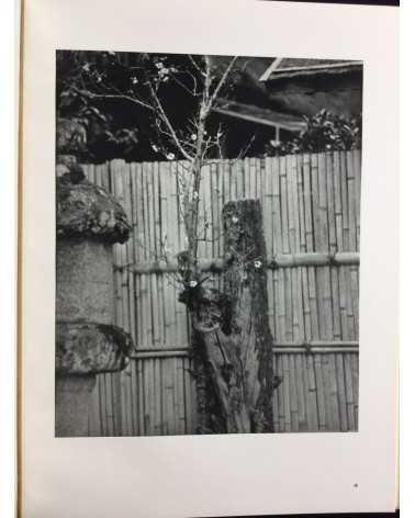 Shinzo Fukuhara - The old town of Matsue - 1935