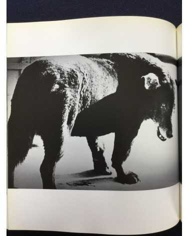 Daido Moriyama - Hunter. With Original Print - 1997