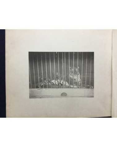 Keiichi Kawai - Animal Photobook - 1897