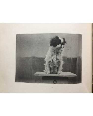 Keiichi Kawai - Animal Photobook - 1897