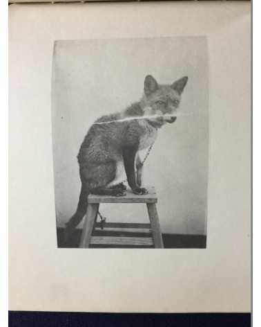 Keiichi Kawai - Animal Photobook - 1897