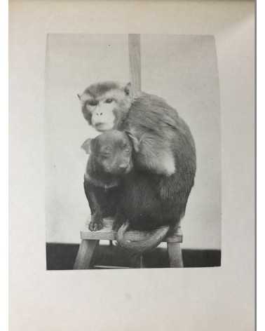 Keiichi Kawai - Animal Photobook - 1897