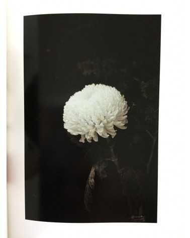 Wolfgang Tillmans - Wako Book 4 - 2008