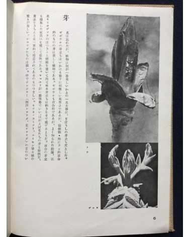 Koshiro Onchi - Records of Nature: Essays and Photographs - 1942