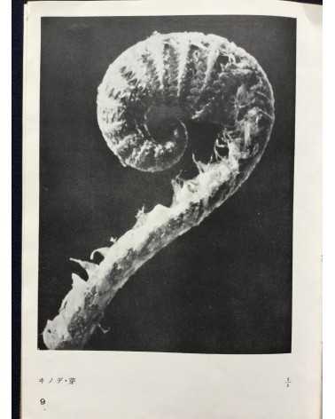 Koshiro Onchi - Records of Nature: Essays and Photographs - 1942