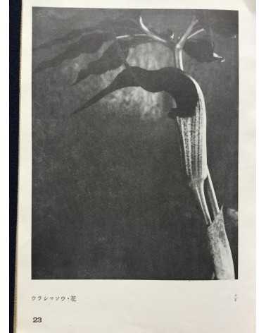 Koshiro Onchi - Records of Nature: Essays and Photographs - 1942