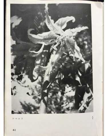 Koshiro Onchi - Records of Nature: Essays and Photographs - 1942