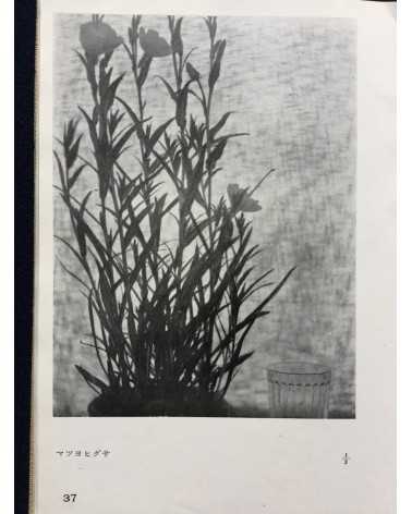 Koshiro Onchi - Records of Nature: Essays and Photographs - 1942