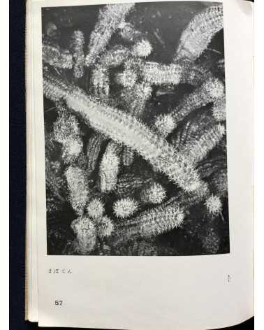 Koshiro Onchi - Records of Nature: Essays and Photographs - 1942