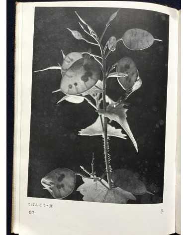 Koshiro Onchi - Records of Nature: Essays and Photographs - 1942