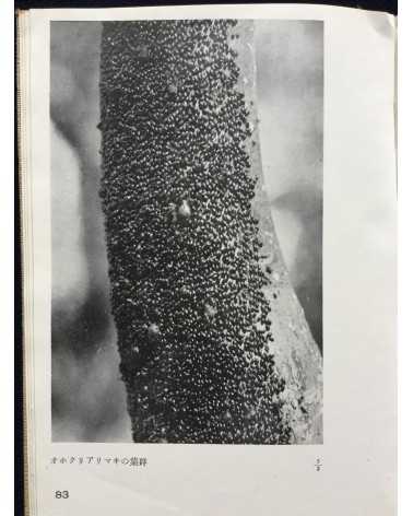 Koshiro Onchi - Records of Nature: Essays and Photographs - 1942