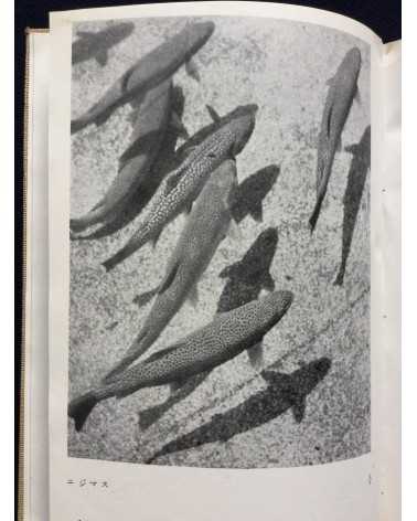 Koshiro Onchi - Records of Nature: Essays and Photographs - 1942