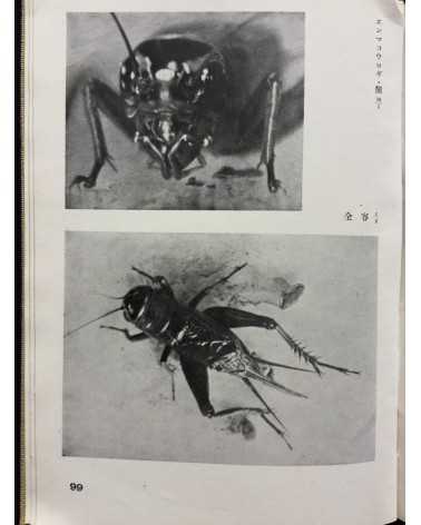 Koshiro Onchi - Records of Nature: Essays and Photographs - 1942