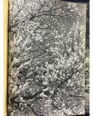 An Overview of Modern Japanese Photography (Gendai Nihon Shashin Zenshu). Volumes 1-9 - 1958/1959