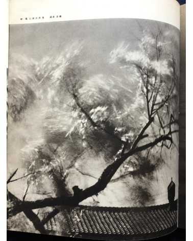 Tatsuo Hoshino - Art Photography - 1937