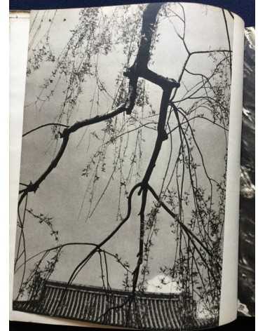 Tatsuo Hoshino - Art Photography - 1937