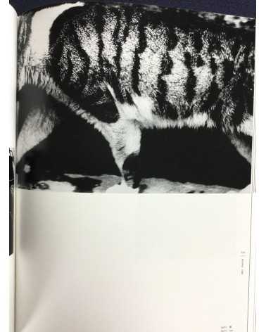 Daido Moriyama - The Complete Works. Special Edition With Print - 2003