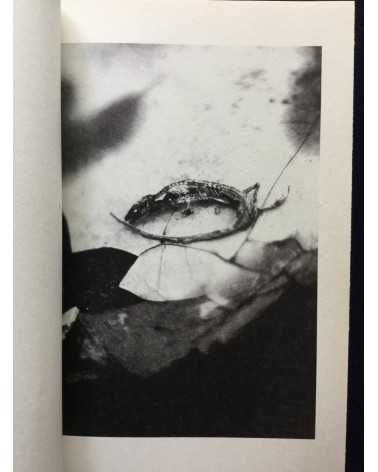 Takashi Munemasa - Laying Stones - 2015